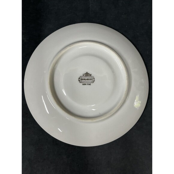 VTG‎ Royal Halsey Very Fine Cup and Saucer Yellow Gold Iridescent Rare - Picture 11 of 12